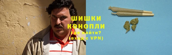 прущий лед Рославль