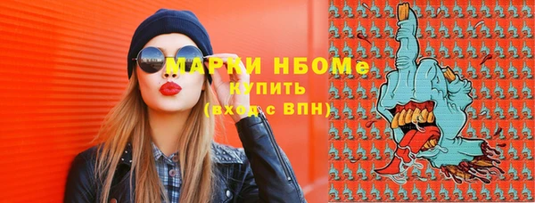крисы Ростов