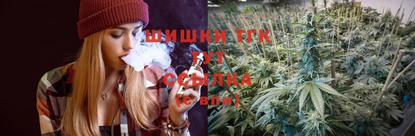 крисы Ростов