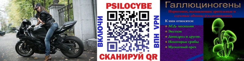omg как войти  Лакинск  Галлюциногенные грибы Magic Shrooms 